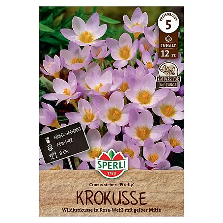 Sperli  Blumenzwiebeln Wildkrokus Firefly