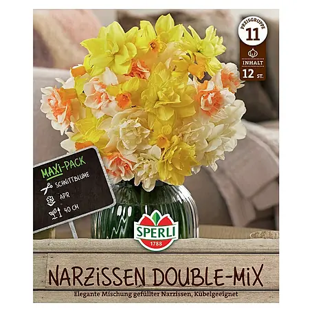 Sperli  Blumenzwiebeln Maxi Narzissen Gefüllte Farbmischung