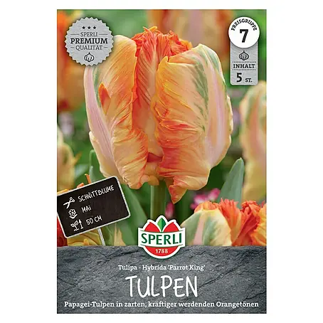 Sperli  Blumenzwiebeln Papagei-Tulpe Parrot King