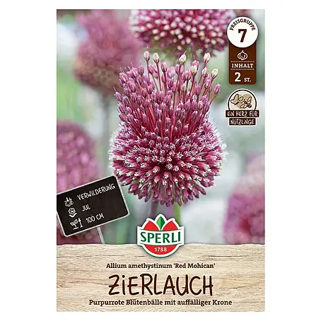 Sperli  Blumenzwiebeln Zierlauch Red Mohican