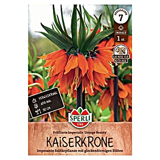 Sperli Bloembollen Keizerkroon Orange Beauty (Fritillaria imperialis, 1 st.)