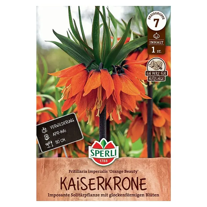 Sperli Blumenzwiebeln Kaiserkrone Orange Beauty - Fritillaria imperialis, 1 Stk. - Bild einer Verpackung mit Kaiserkronen-Blumenzwiebeln der Sorte 'Orange Beauty' von Sperli, mit Infos zu Pflanzzeit und Eigenschaften.