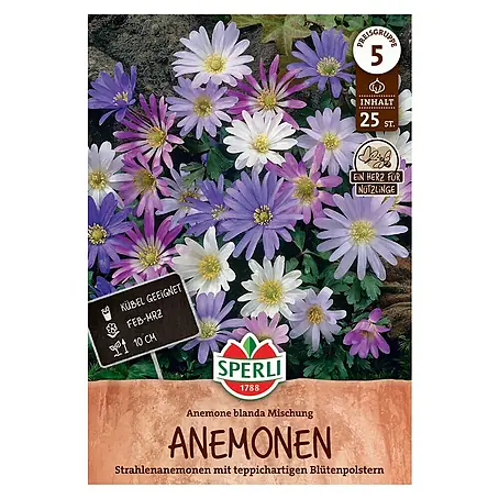Sperli  Blumenzwiebeln Balkan Windröschen