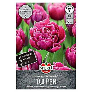 Sperli Bloembollen Gevuld vroege tulp Margarita (Tulipa x Hybrida, 5 st.)