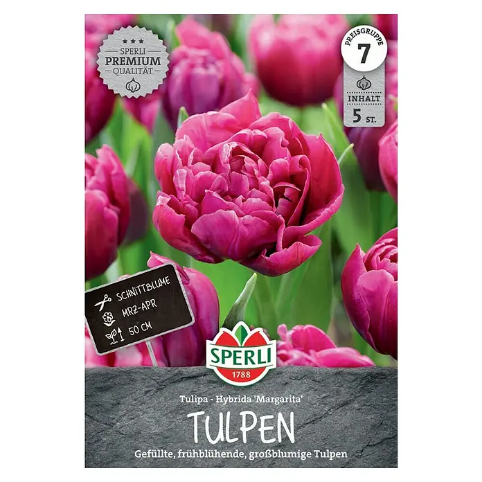 Sperli Blumenzwiebeln Gefüllte Frühe Tulpe Magarita - Tulipa x Hybrida, 5 Stk. - Packung Tulpen 'Margarita' von Sperli. Die gefüllten, frühblühenden und großblumigen Tulpen sind eine Premium Qualität für Ihren Garten.