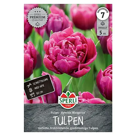 Sperli  Blumenzwiebeln Gefüllte Frühe Tulpe Magarita