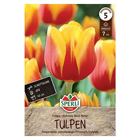 Sperli  Blumenzwiebeln Triumph-Tulpe Kees Nelis