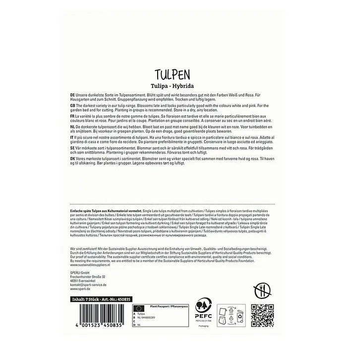 Sperli Blumenzwiebeln Einfache Späte Tulpe Königin der Nacht - Tulipa x Hybrida, 7 Stk. - Tulpen-Hybrida-Verpackung: Dunkelste Sorte mit weißen und rosa Farben für Garten und Schnitt. Gruppenpflanzung empfohlen.