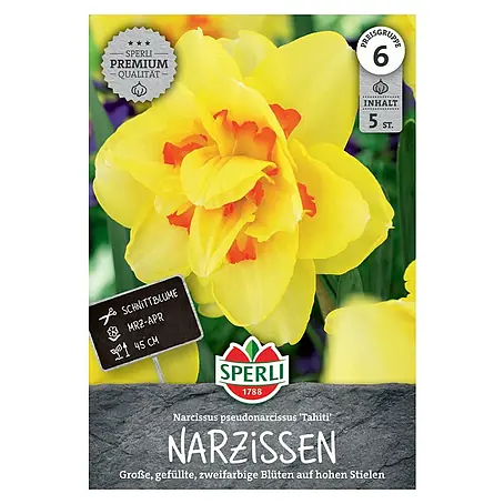 Sperli  Blumenzwiebeln Narzisse Tahiti