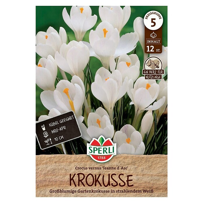 Sperli Blumenzwiebeln Jeanne d'Arc (Crocus vernus, Weiss, 12 Stk.) | BAUHAUS