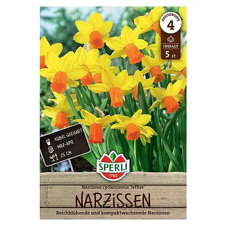 Sperli  Blumenzwiebeln Narzisse Jetfire
