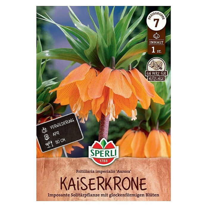 Sperli Bloembollen Keizerskroon 'Aurora' (Fritillaria imperialis, 1 st.) | BAUHAUS