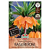 Sperli Bloembollen Keizerskroon 'Aurora' (Fritillaria imperialis, 1 st.) | BAUHAUS