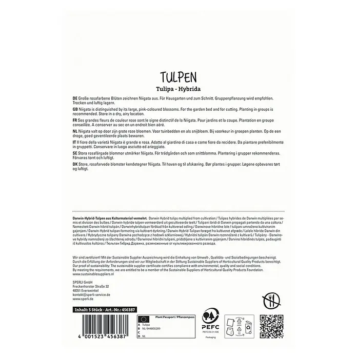 Sperli Blumenzwiebeln Darwin-Hybrid-Tulpe Niigata - Tulipa x Hybrida, Rosa - Tulpen Tulipa-Hybrida: Rosafarbene Tulpen für den Garten und zum Schnitt. Trocken und luftig lagern.