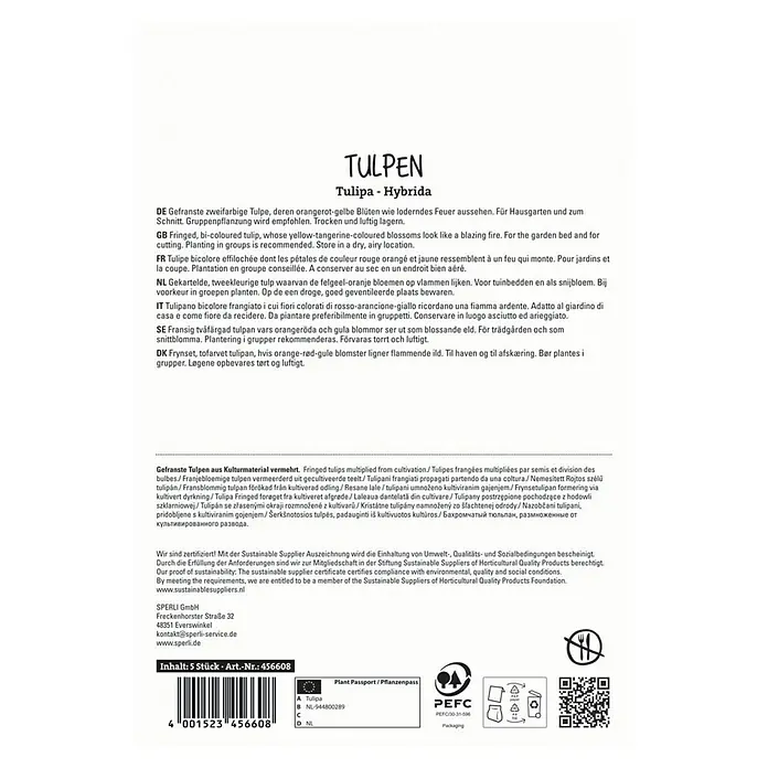 Sperli Blumenzwiebeln Gefranste Tulpe Golddust - Tulipa x Hybrida, 5 Stk. - Produktabbildung: TULPEN Tulipa - Hybrida, eine zweifarbige Tulpe mit feurigen Blüten, ideal für Garten und Schnitt, Gruppenpflanzung empfohlen.