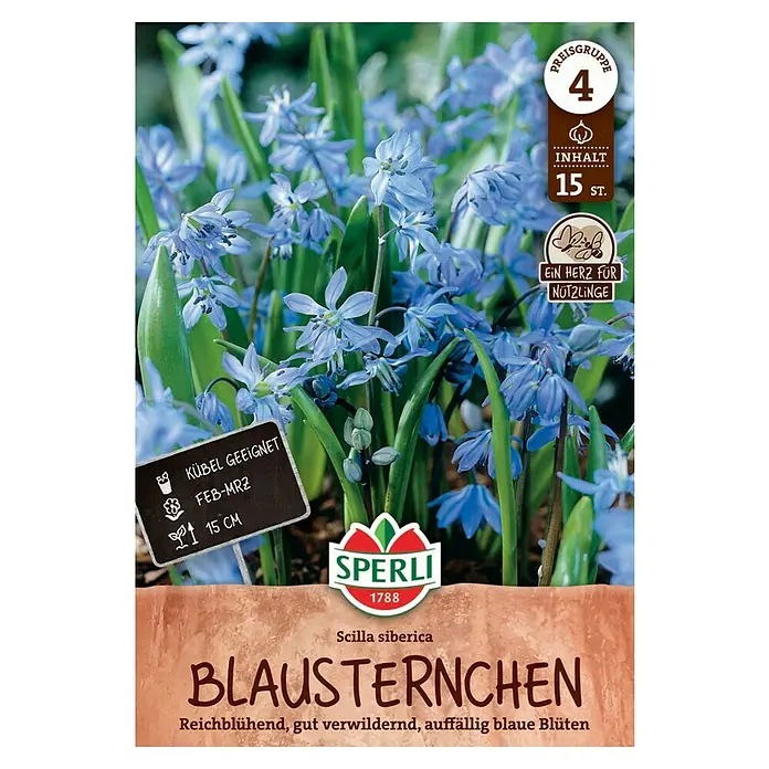 Sperli Blumenzwiebeln Sibirischer Blaustern - Scilla siberica, Blau - Packung Blausternchen Blumenzwiebeln der Marke Sperli, ideal für Kübel, blühen von Februar bis März, Inhalt 15 Stück.