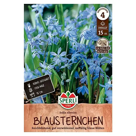 Sperli  Blumenzwiebeln Sibirischer Blaustern