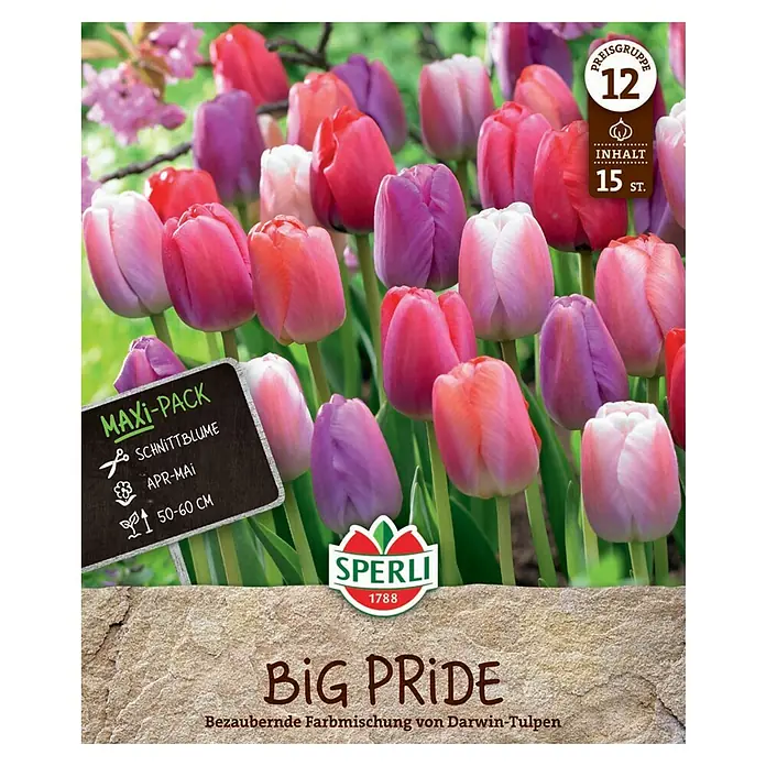 Sperli Blumenzwiebeln Maxi Tulpen Big Pride Mischung - Tulipa x Hybrida, 15 Stk. - Eine Packung "Big Pride" Darwin-Tulpen mit einer bezaubernden Farbmischung. Inhalt: 15 Stück, Preisgruppe 12.