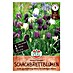 Sperli Bloembollen Wilde kievitsbloem 