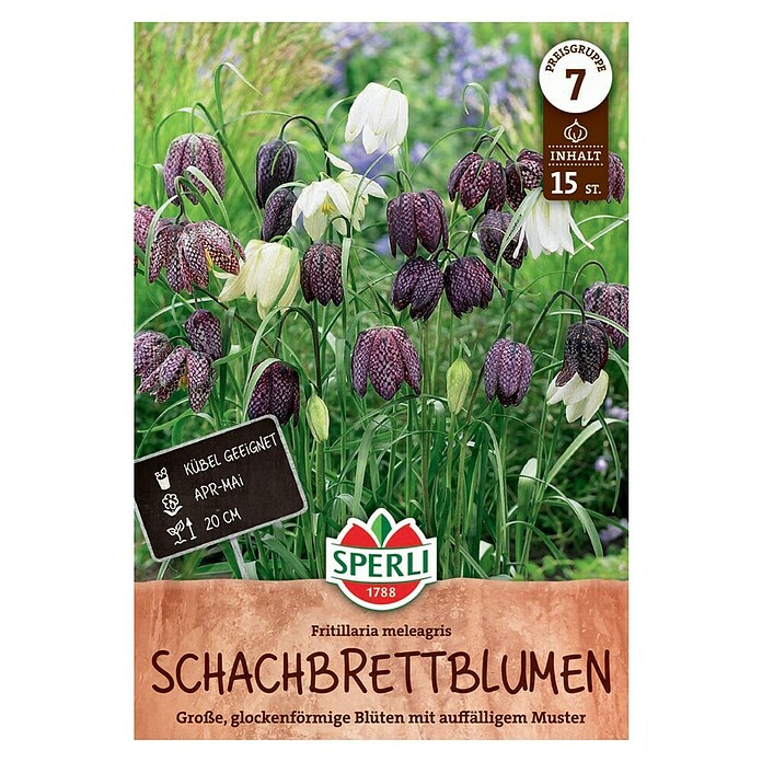 Sperli Bloembollen Wilde kievitsbloem (Fritillaria meleagris, Wit / Rood, 15 st.) | BAUHAUS