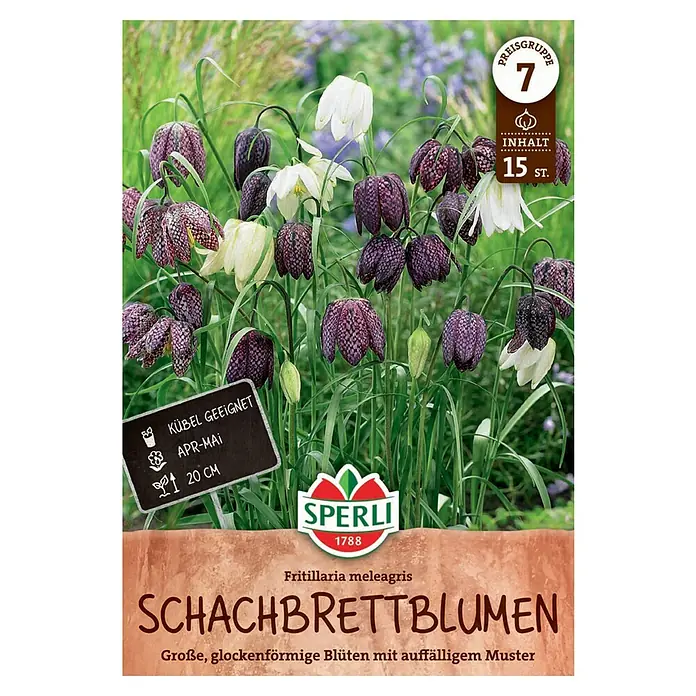 Sperli Blumenzwiebeln Schachbrettblume - Fritillaria meleagris, Weiß/Rot, 15 Stk. - Produktbild einer Packung Schachbrettblumen-Samen von Sperli, ideal für Kübel, mit auffälligen Blüten.
