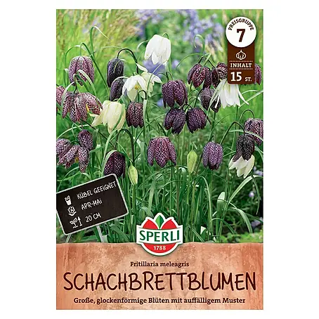 Sperli  Blumenzwiebeln Schachbrettblume