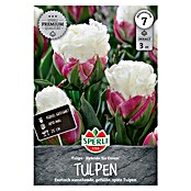 Sperli Bloembollen Tulpen 'Ice Cream' (Tulipa x Hybrid, 3 st.) | BAUHAUS