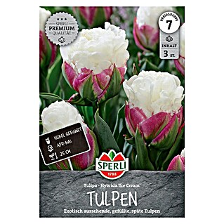 Sperli Bloembollen Tulpen 'Ice Cream' (Tulipa x Hybrid, 3 st.)