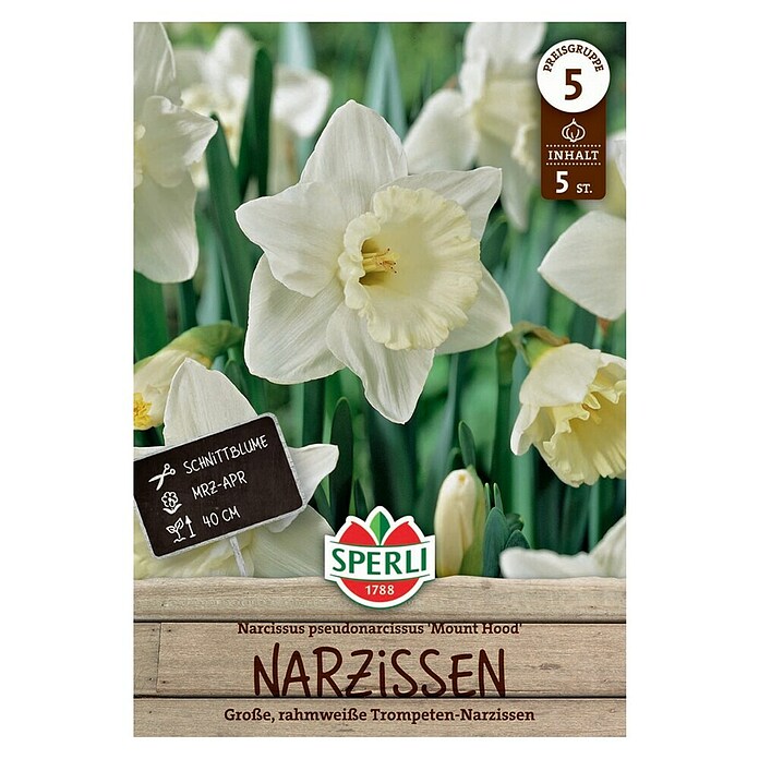 Sperli Blumenzwiebeln Trompeten Narzisse Mount Hood (Narcissus pseudonarcissus) | BAUHAUS