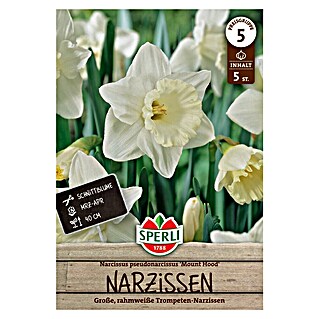 Sperli Bloembollen Trompet Narcis Mount Hood (Narcissus pseudonarcissus, 5 st.)