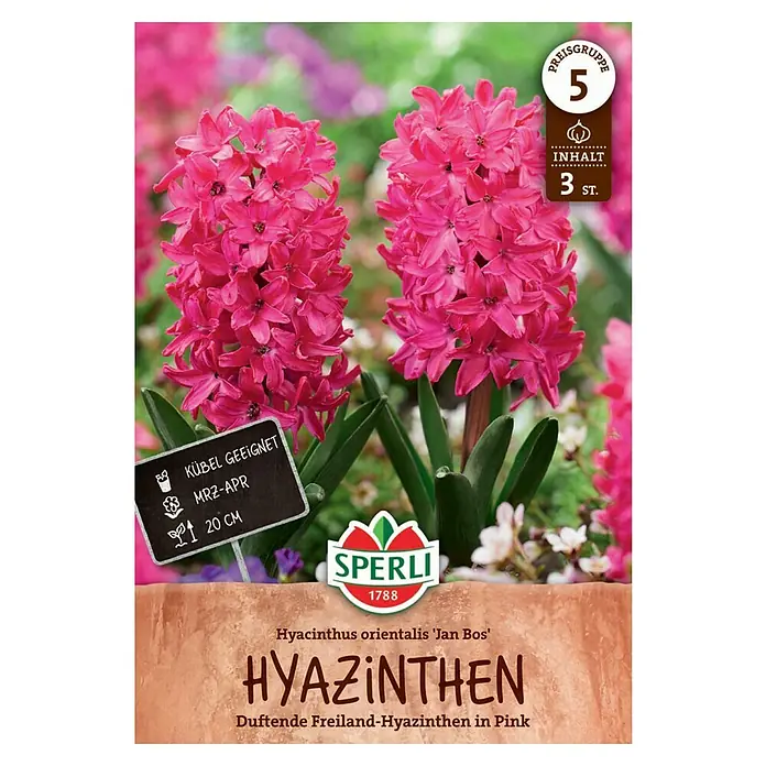Sperli Blumenzwiebeln Hyazinthe Jan Bos - Hyacinthus orientalis, 3 Stk. - Das Bild zeigt eine Packung Hyazinthen 'Jan Bos' von Sperli, ideal für Kübel, mit duftenden, pinkfarbenen Blüten.