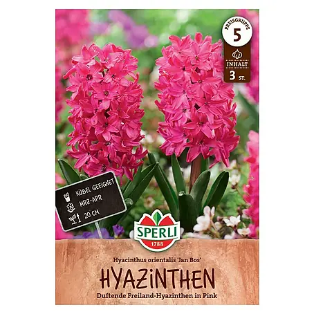 Sperli  Blumenzwiebeln Hyazinthe Jan Bos