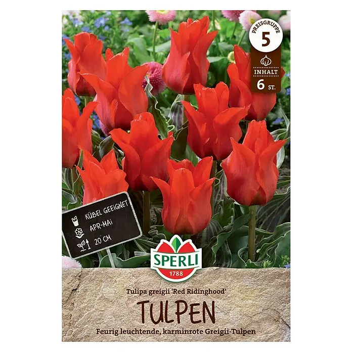Sperli Blumenzwiebeln Greigii-Tulpe Rotkäppchen - Tulipa greigii, 6 Stk. - Abbildung der 'Red Ridinghood' Tulpen von Sperli. Die Packung enthält 6 Stück und die Pflanzen sind für Kübel geeignet.