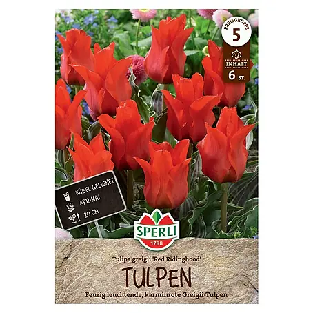 Sperli  Blumenzwiebeln Greigii-Tulpe Rotkäppchen