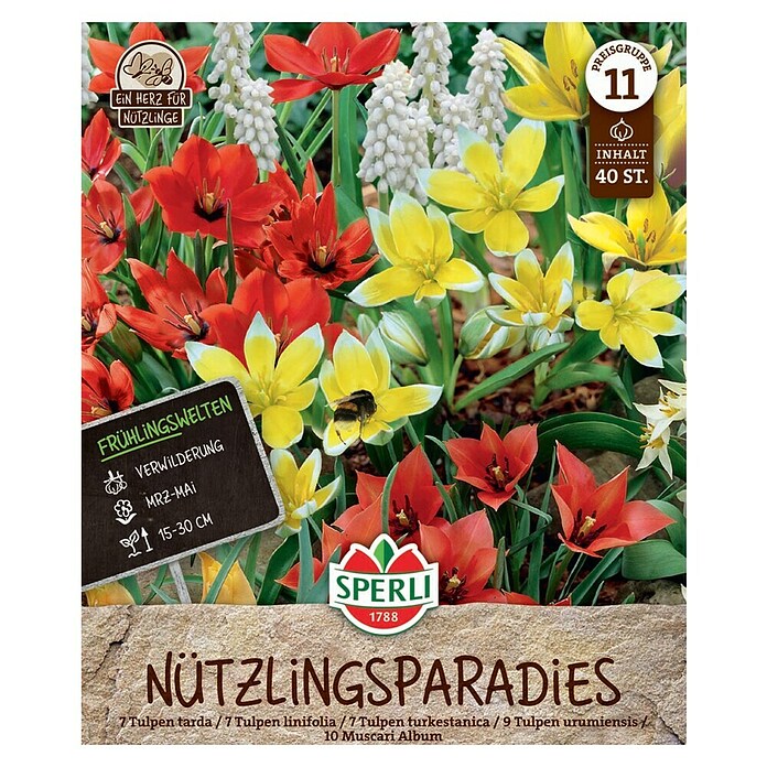Sperli Bloembollen Lentetuin Nuttig Insectenparadijs (Arten-Mischung, 40 st.) | BAUHAUS