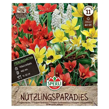 Sperli  Blumenzwiebeln Frühlingsgarten Nützlingsparadies