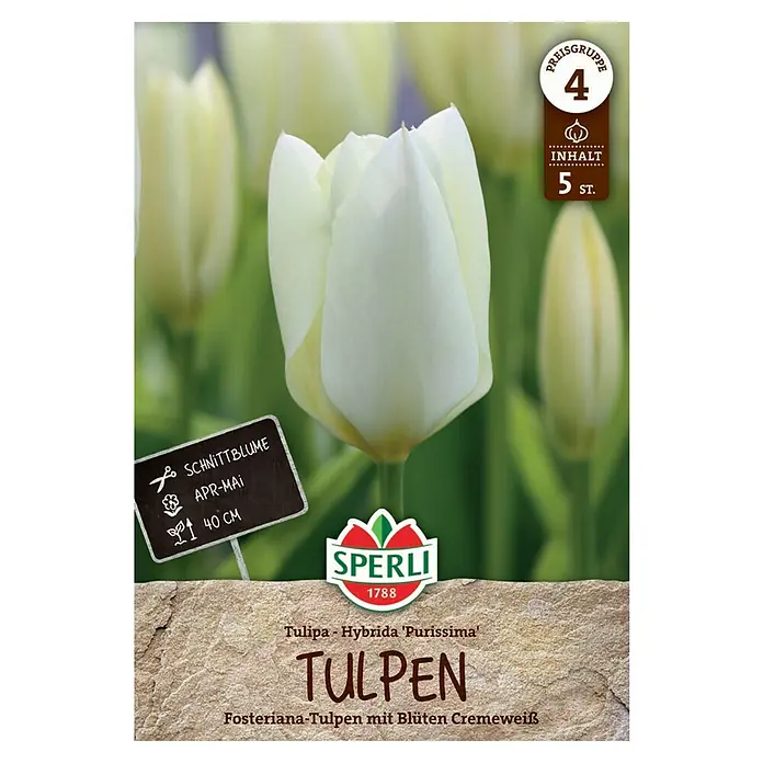 Tulpenbollen Negrita Parrot - een bijzondere verschijning! - Tulip Store Tulpenbollen Negrita Parrot - een bijzondere verschijning! - Tulip Store