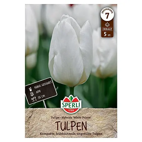Sperli  Blumenzwiebeln Einfache Frühe Tulpe White Prince