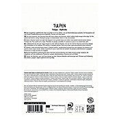 Sperli Bloembollen Enkele late tulp Menton (Tulipa x Hybrida, Roze, 5 st.) | BAUHAUS