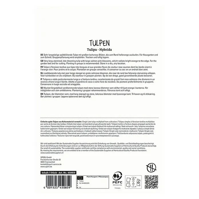 Sperli Blumenzwiebeln Einfache Späte Tulpe Menton - Tulipa x Hybrida, Rosa, 5 Stk. - TULPEN Tulipa-Hybrida: Spätblühende Tulpen mit lachsrosa Blüten, die zum Rand hin hellorange sind. Ideal für Gärten und zum Schnitt.