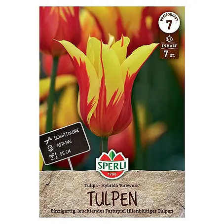 Sperli  Blumenzwiebeln Lilienblütige Tulpe Firework