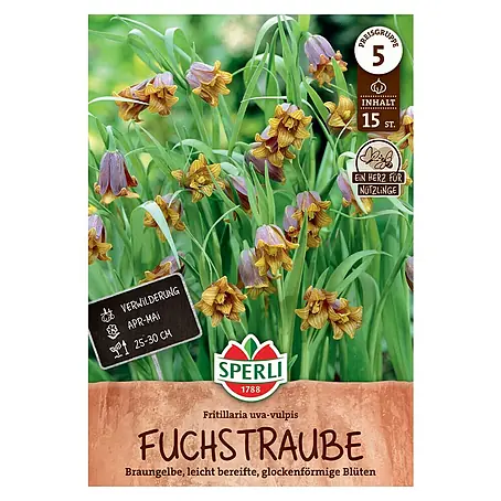 Sperli  Blumenzwiebeln Fuchstraube