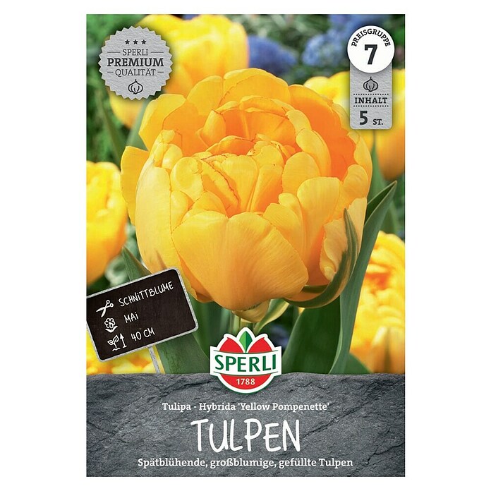 Sperli Bloembollen Gevulde Late Tulp Gele Pomponette (Tulipa x Hybrida, 5 st.) | BAUHAUS