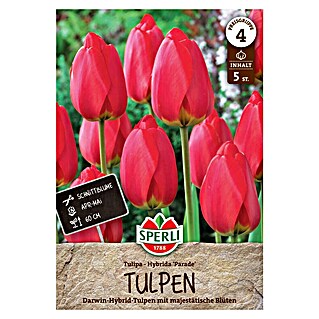 Sperli Bloembollen Darwin Hybride Tulpenparade (Tulipa x Hybrida, 5 st.)