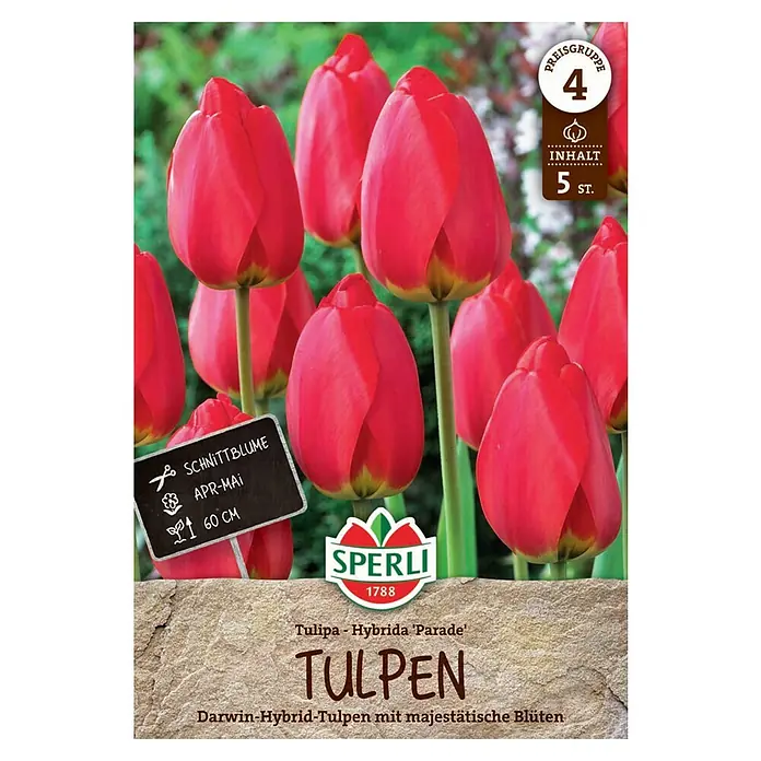 Sperli Blumenzwiebeln Darwin-Hybrid-Tulpe Parade - Tulipa x Hybrida, 5 Stk. - Tulpen Hybrida 'Parade': Die perfekte Schnittblume für den Frühling. Eine Augenweide für jeden Garten mit majestätischen Blüten.