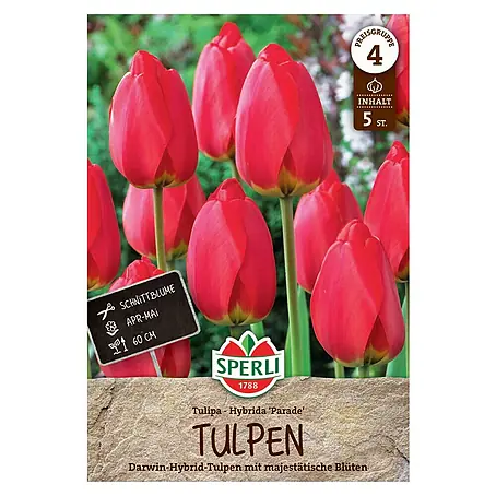 Sperli  Blumenzwiebeln Darwin-Hybrid-Tulpe Parade