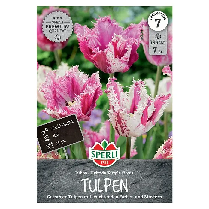 Tulpenbollen Parrot Party - mix van de mooiste parkieten! - Tulip Store