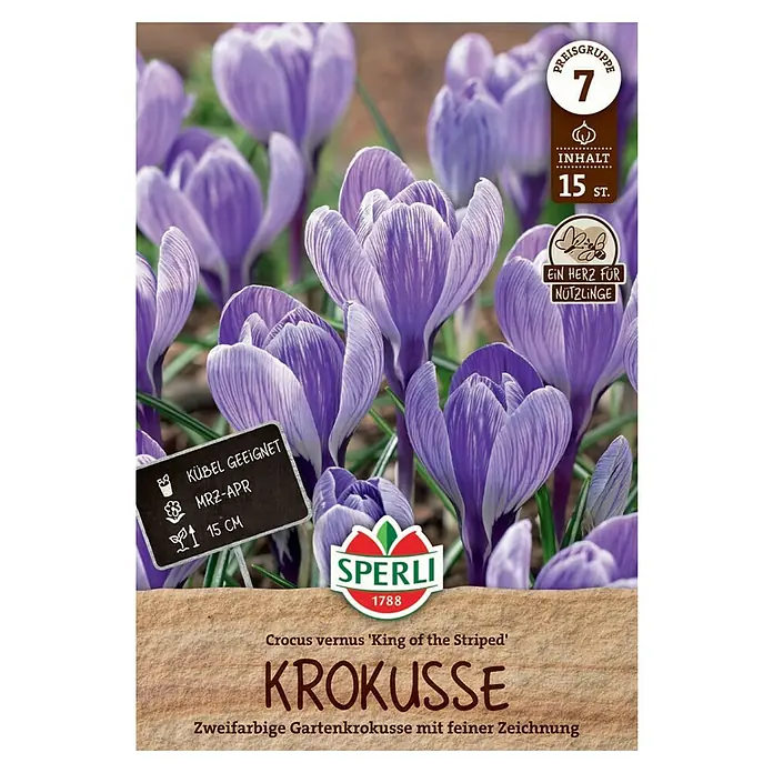 Sperli Blumenzwiebeln Gartenkrokus King of the Striped - Crocus vernus, Lila, Weiß - Packung Krokusse 'King of the Striped' von Sperli. Zweifarbige Gartenkrokusse mit feiner Zeichnung, ideal für Kübel und Gärten.