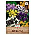 Sperli Bloembollen Wilde krokus botanische mix 