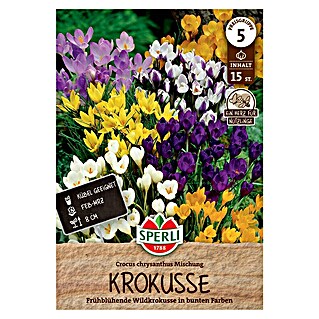 Sperli Bloembollen Wilde krokus botanische mix (Crocus chrysanthus, 15 st.)